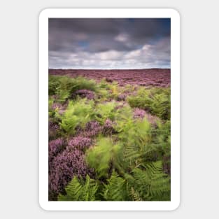 Dunwich Heath Sticker